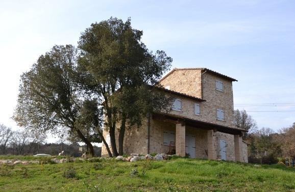 Agriturismo Surripa อเมเลีย ภายนอก รูปภาพ